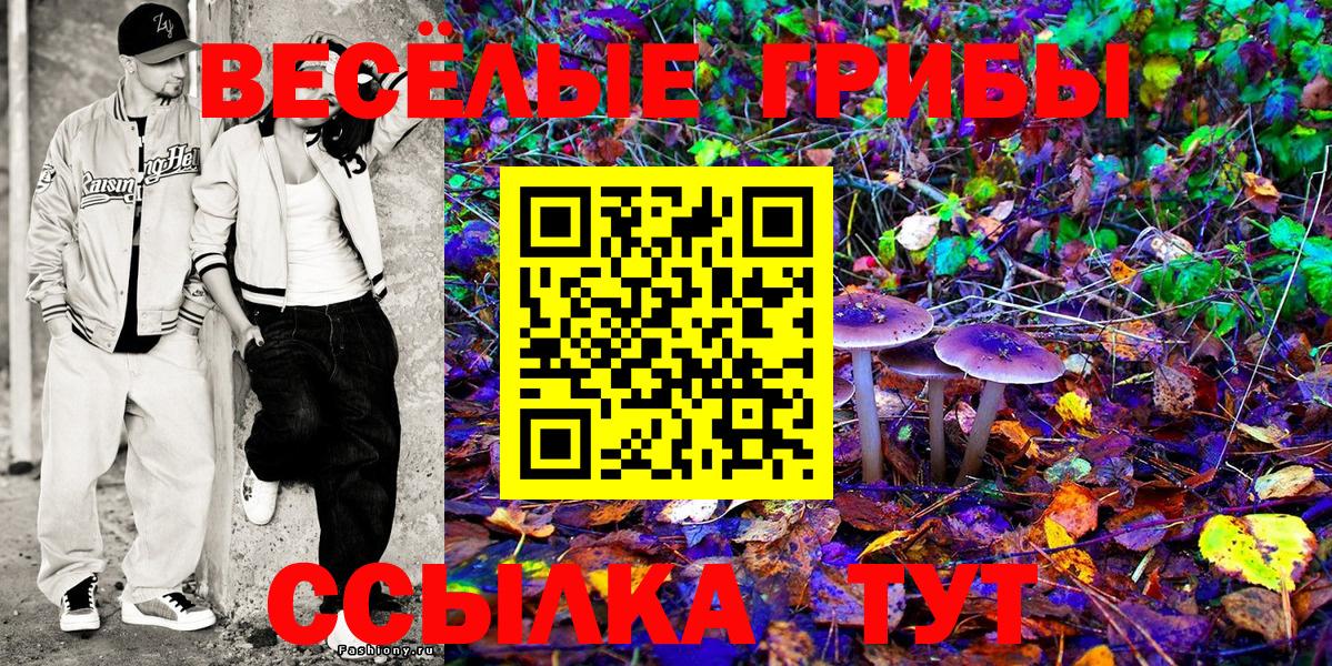 Кулебаки  Псилоцибиновые грибы прущие грибы  Галлюциногенные грибы Psilocybe  Вход с VPN 