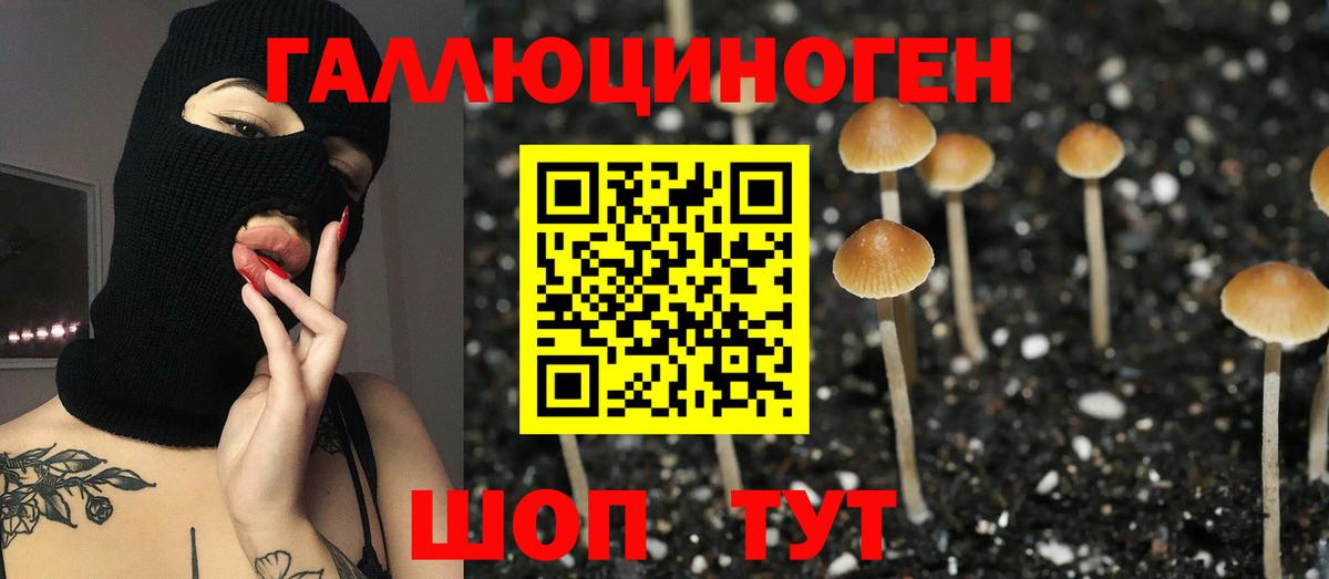 Галлюциногенные грибы GOLDEN TEACHER Кулебаки